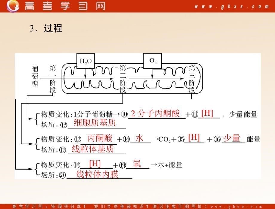 高考生物一轮复习课件：必修1 第5章 第3节 atp的主要来源——细胞呼吸_第5页