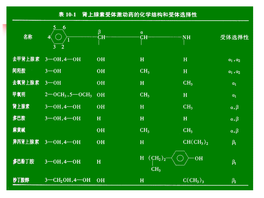 第10章肾上腺素受体激动药_第4页