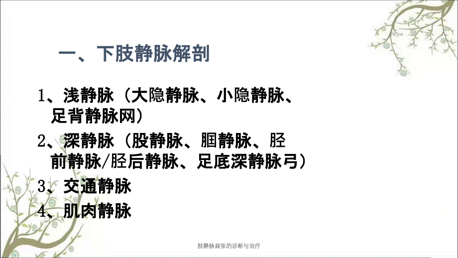 肢静脉曲张的诊断与治疗_第2页