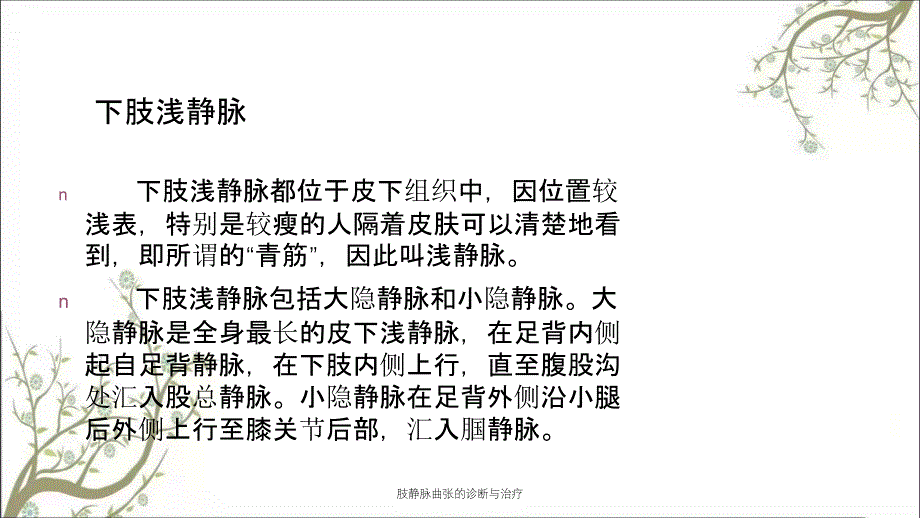 肢静脉曲张的诊断与治疗_第3页