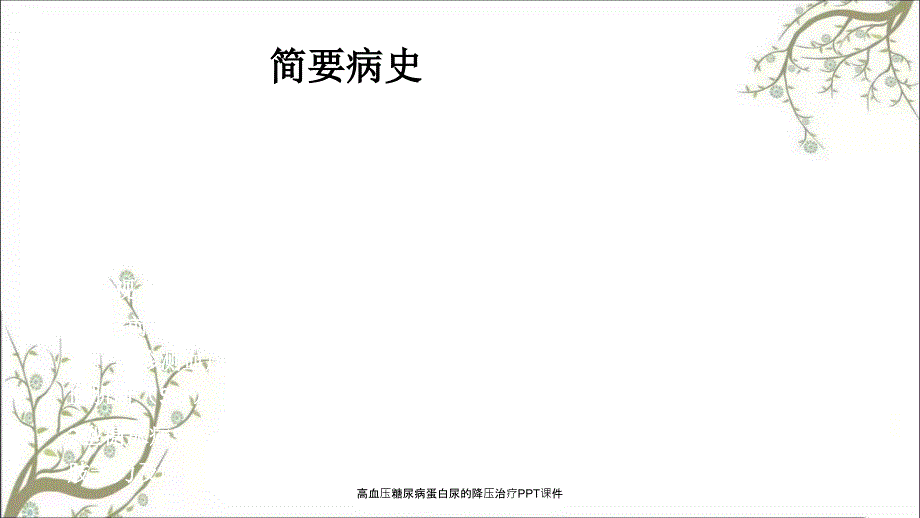 高血压糖尿病蛋白尿的降压治疗PPT课件_第2页