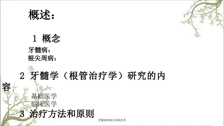 牙髓病和根尖周病优秀课件_第3页