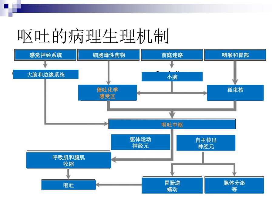 肿瘤治疗相关呕吐防治指南ppt课件_第4页