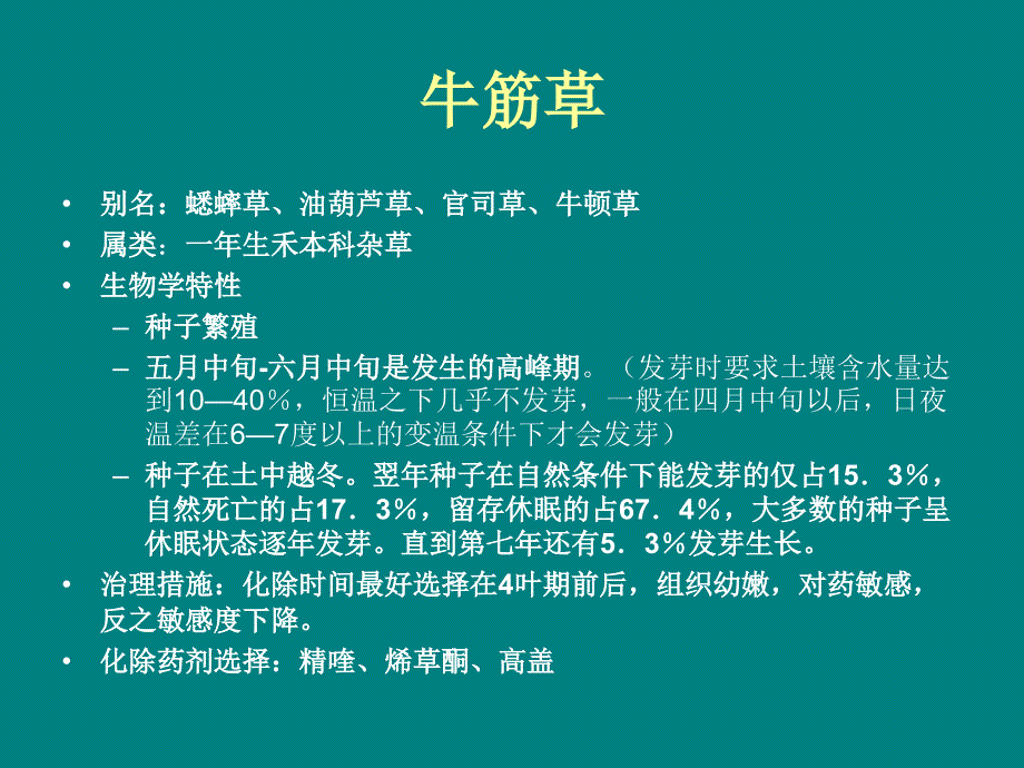 常见田间杂草汇总课件_第4页