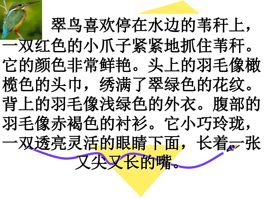 我喜欢的小动物作文细节版ppt课件_第4页