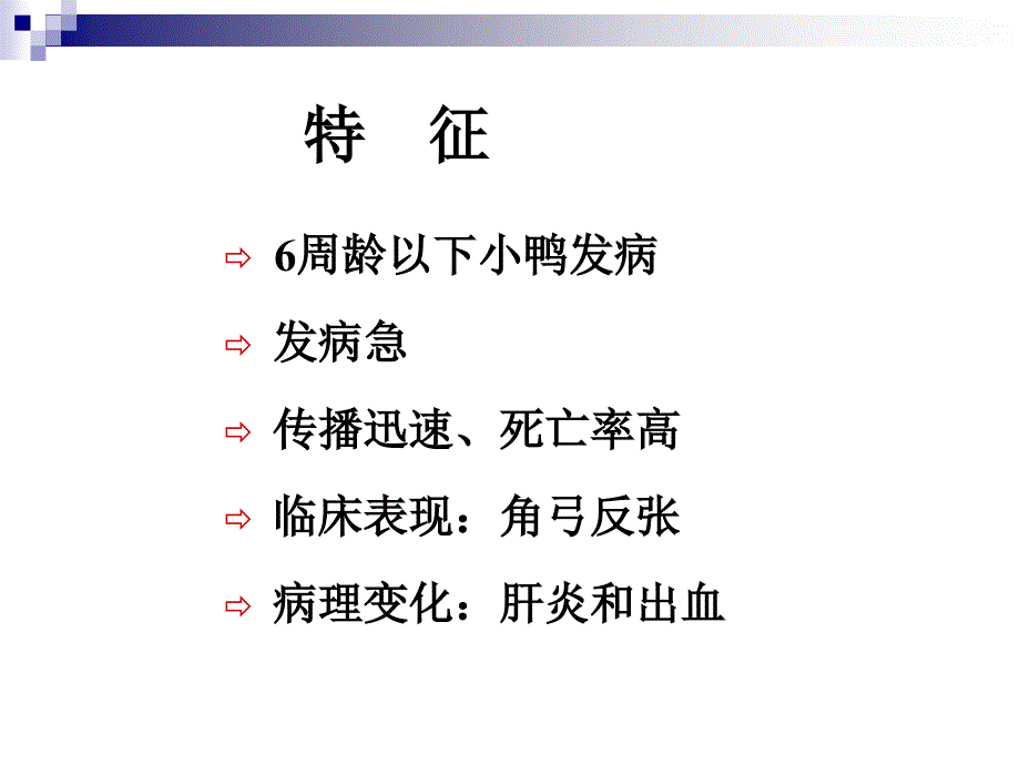 《禽病学》课件：16 鸭肝炎_第3页