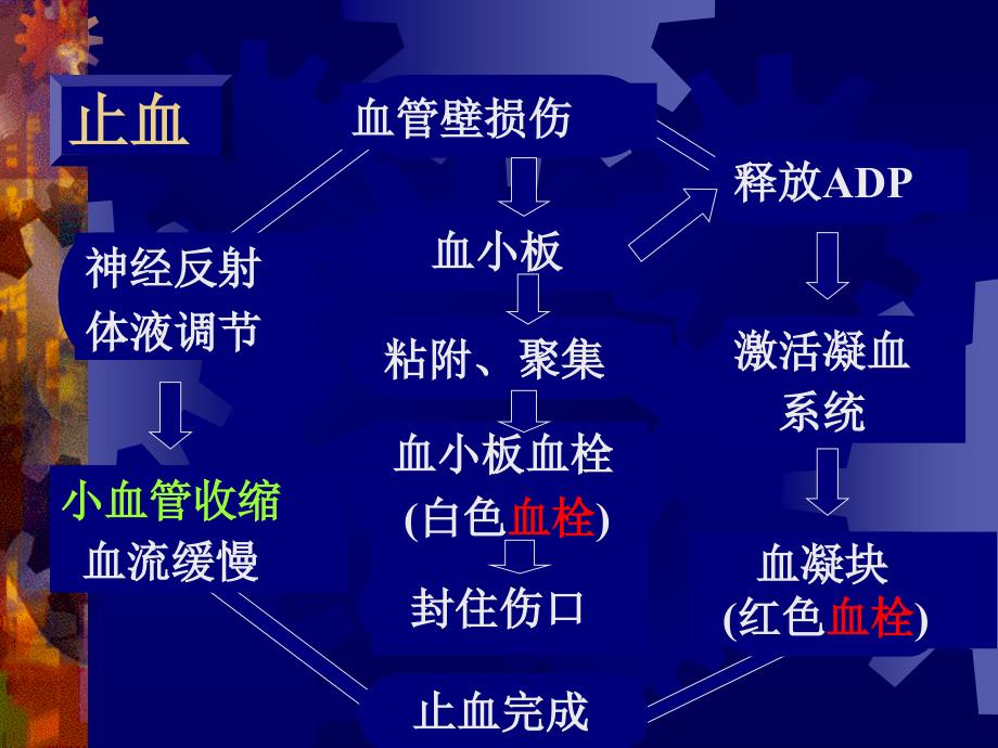 止、凝血功能检查改_第4页