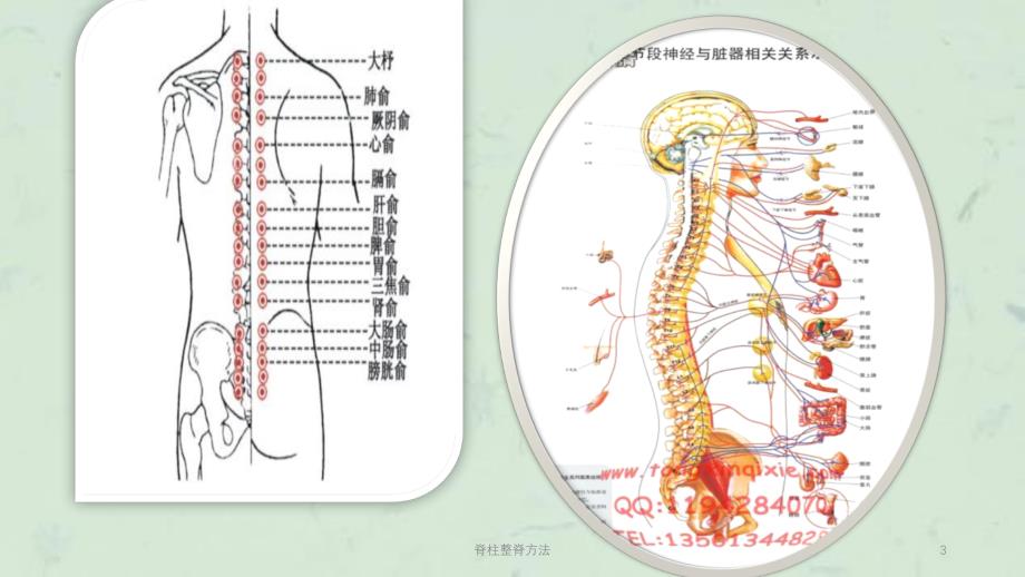 脊柱整脊方法课件_第3页