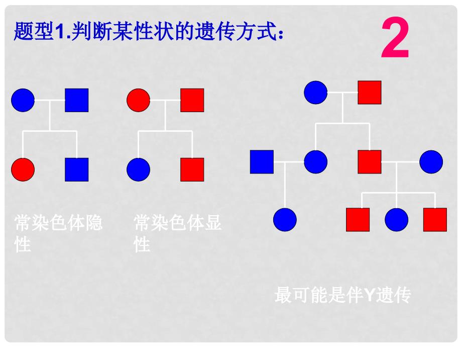 高中生物《第二章 第三节 伴性遗传》课件2 新人教版必修2_第3页