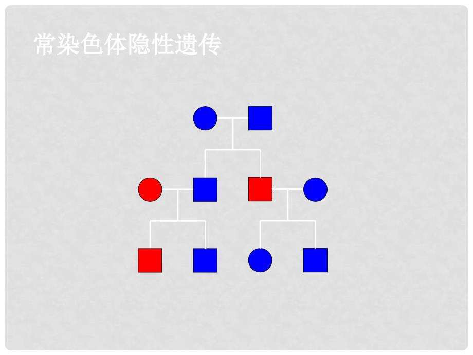 高中生物《第二章 第三节 伴性遗传》课件2 新人教版必修2_第4页