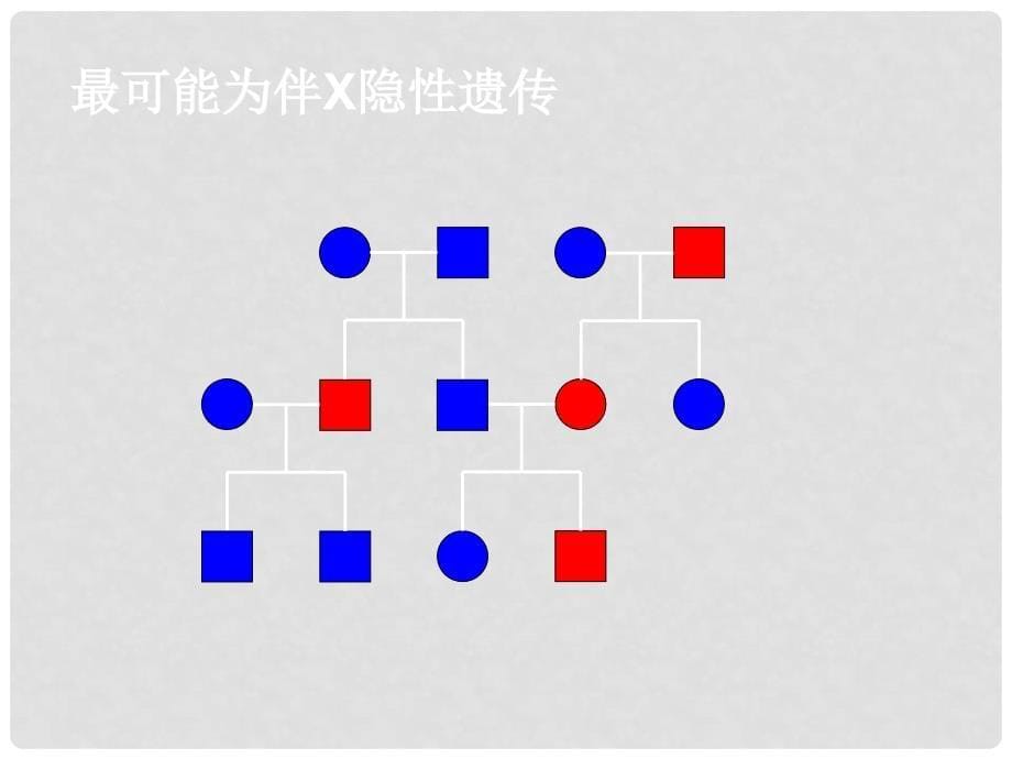 高中生物《第二章 第三节 伴性遗传》课件2 新人教版必修2_第5页