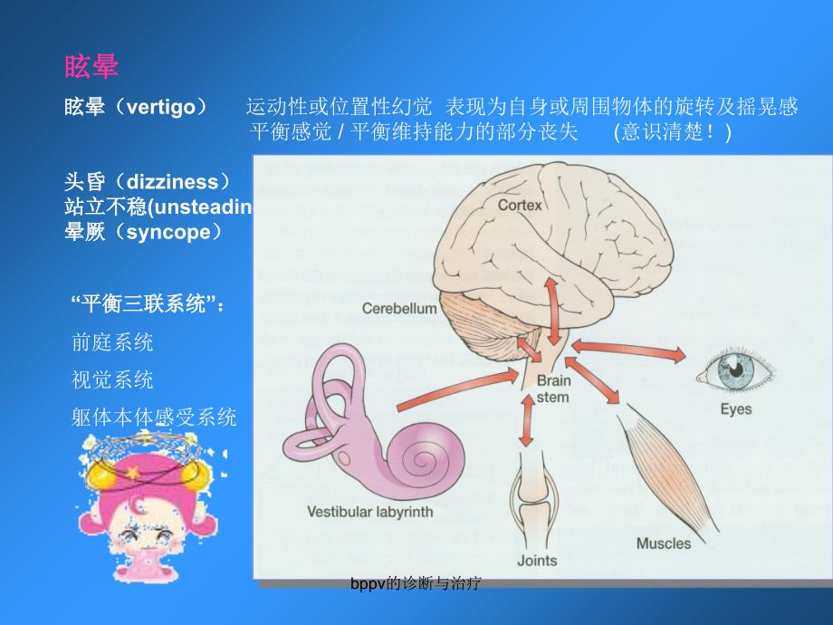 bppv的诊断与治疗课件_第3页