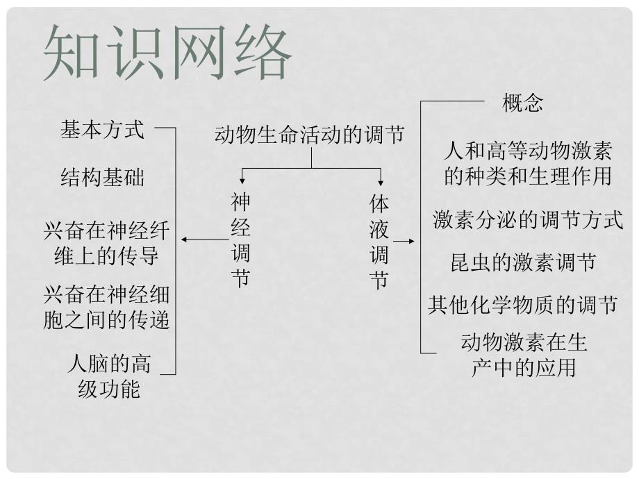 广东省珠海市金海岸中学高考生物一轮复习 动物生命活动的调节课件_第2页