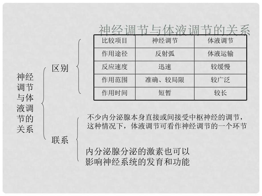 广东省珠海市金海岸中学高考生物一轮复习 动物生命活动的调节课件_第5页