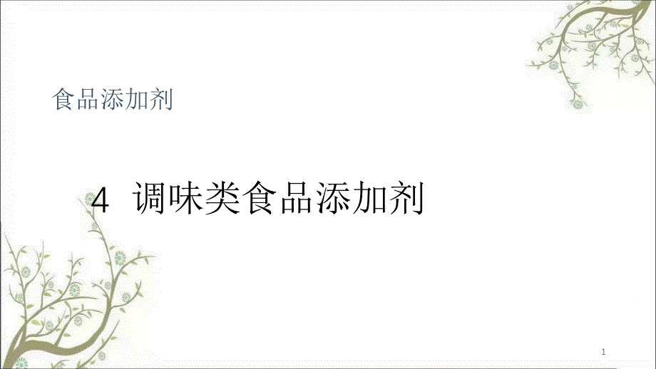 调味类食品调味剂课件_第1页