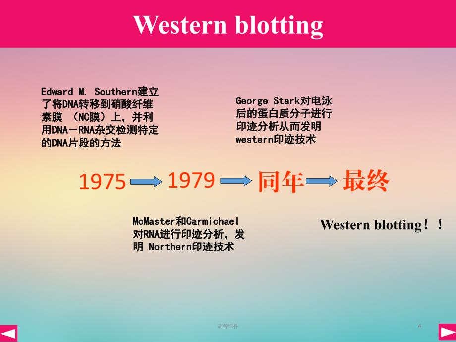 Westernblot 、蛋白质双向电泳的原理、方法及在医学中的应用#高级教育_第4页