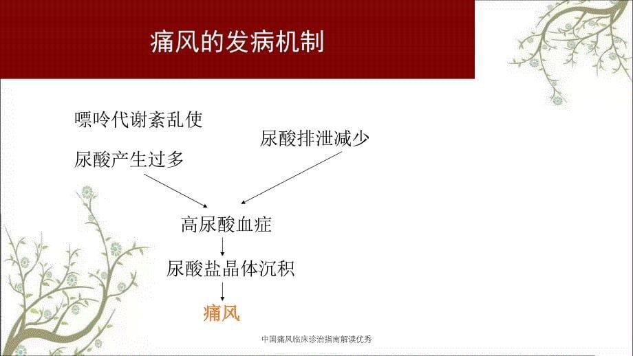 中国痛风临床诊治指南解读优秀_第5页