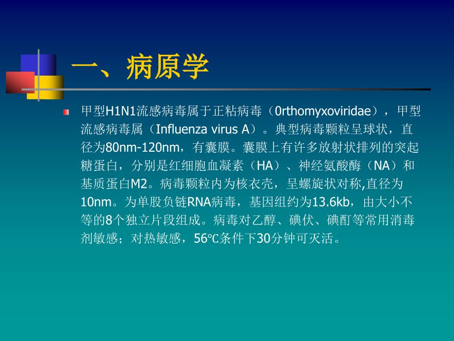 《甲型H1N1流感》PPT课件.ppt_第4页