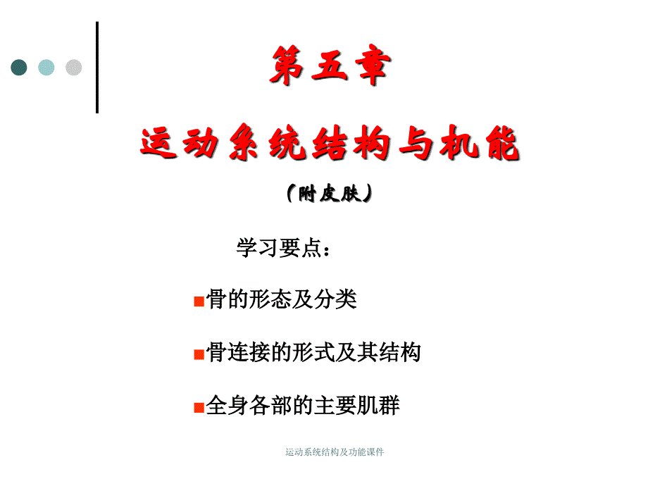 运动系统结构及功能课件_第1页