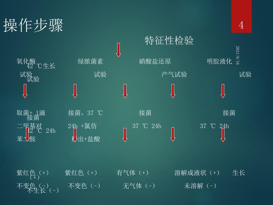 绿脓杆菌检验技术_第4页