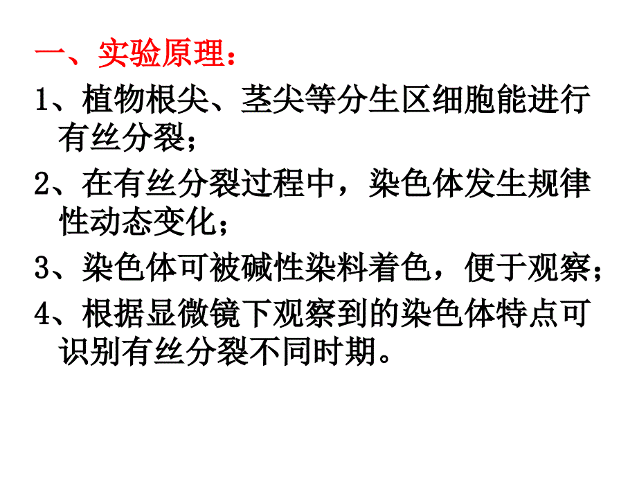 观察植物细胞的有丝分裂研究_第3页