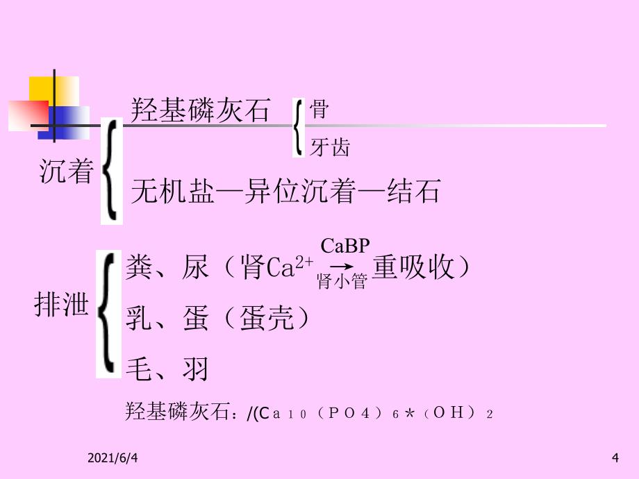 第一讲-维生素D与钙、磷_第4页