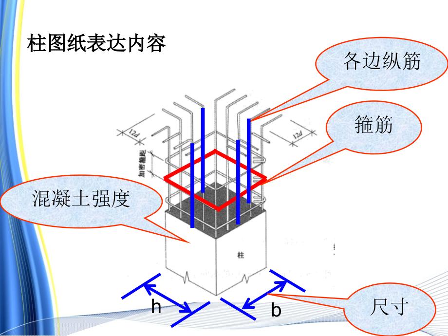 柱配筋图讲解PPT_第1页