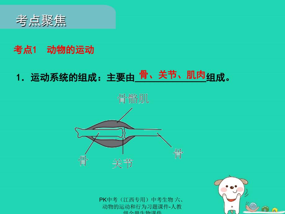 最新中考生物六动物的运动和行为习题课件_第2页