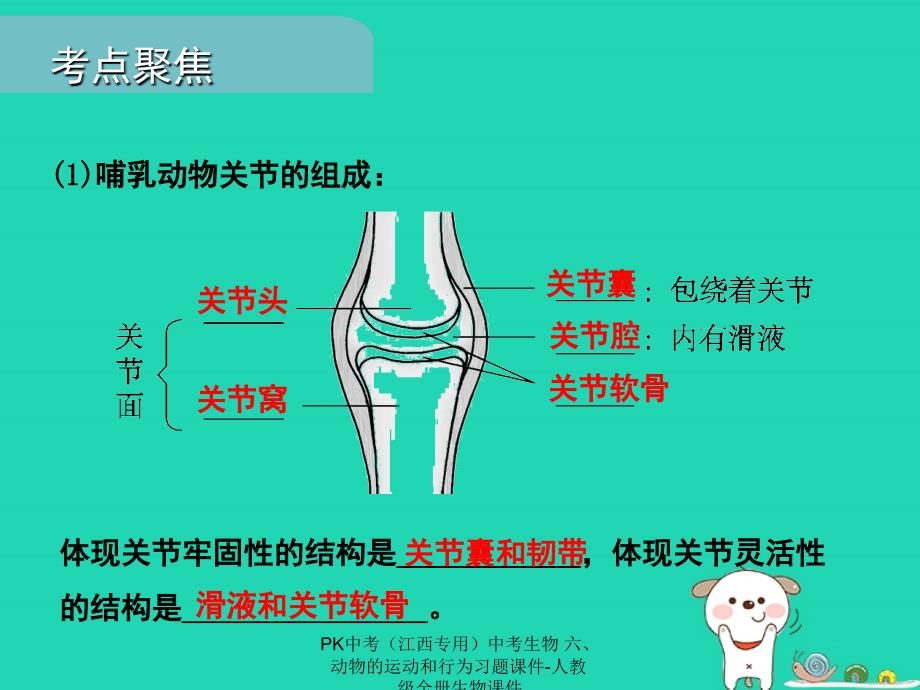 最新中考生物六动物的运动和行为习题课件_第3页