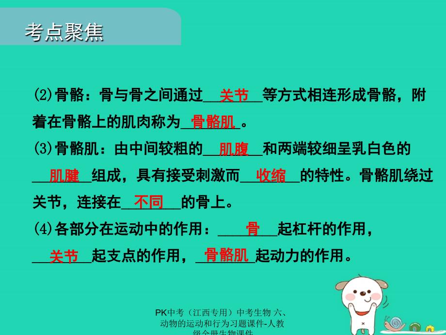 最新中考生物六动物的运动和行为习题课件_第4页