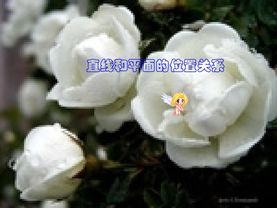 直线和平面的位置关系_第1页