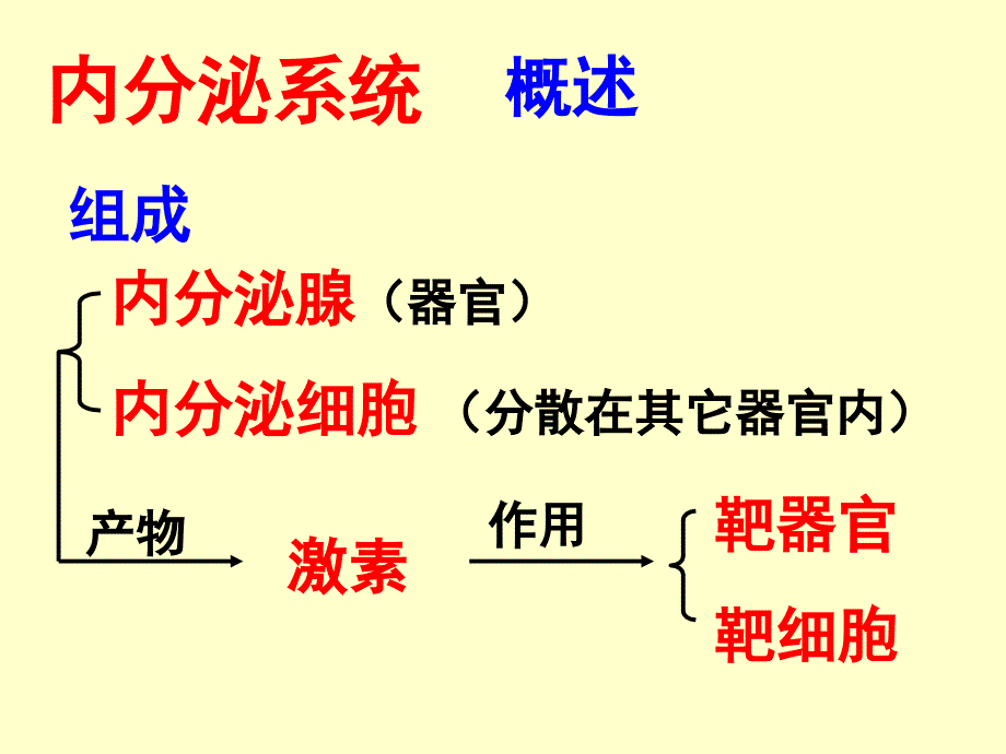 组织学与胚胎学：内分泌系统_第2页