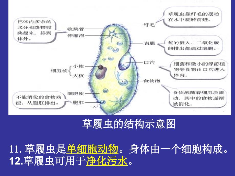 专题课本附图知识点_第4页