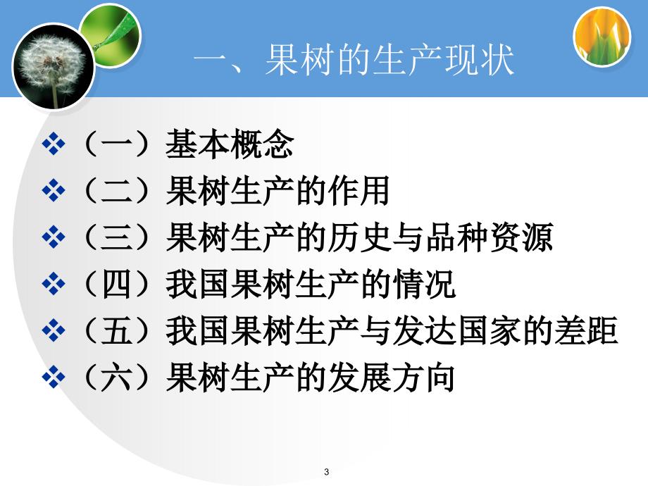 1.1果树的分类与识别谷风参考_第3页