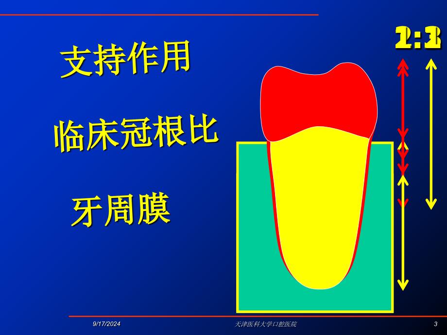 固定义齿的设计课件_第3页