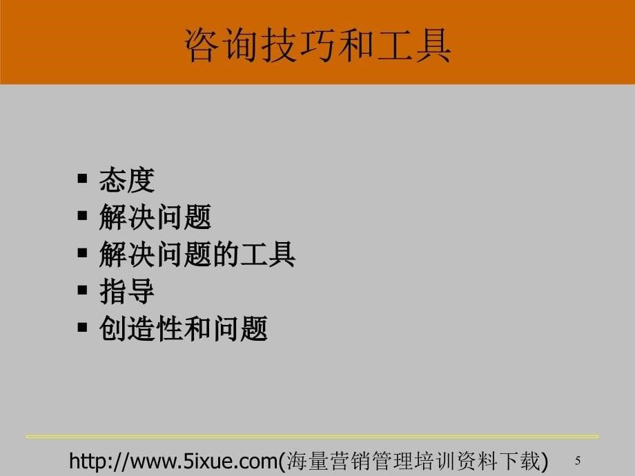 管理咨询解决问题的专业技巧与方法_第5页