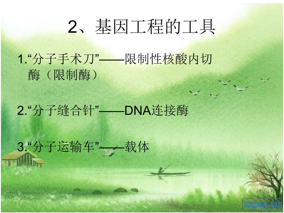 专题一基因工程复习题_第3页