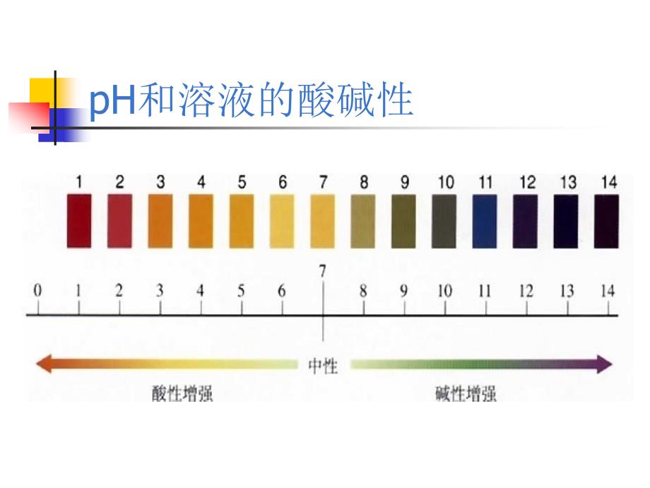 第八章生活中的酸盐_第3页