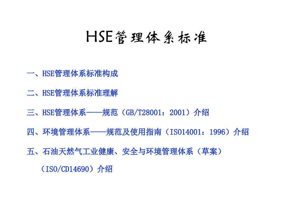 HSE管理体系标准_第2页