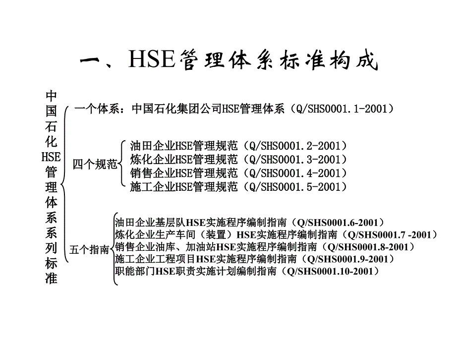 HSE管理体系标准_第3页