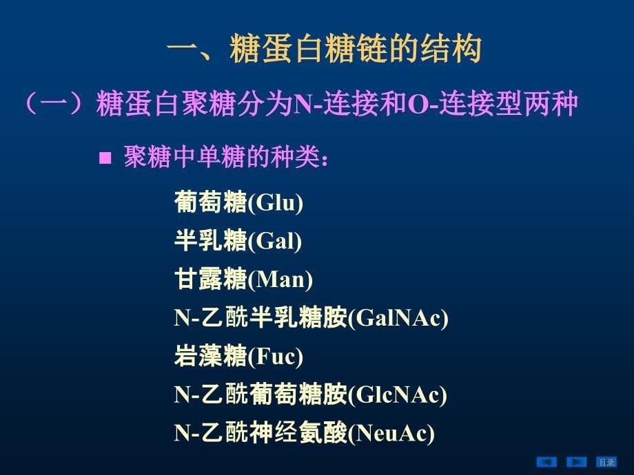 糖蛋白、蛋白聚糖和细胞外基质_第5页