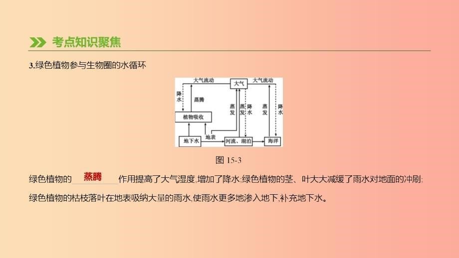 江苏省徐州市2019年中考生物复习 第五单元 生命活动的调节和生态系统的稳定 第15课时 生态系统的稳定课件.ppt_第5页