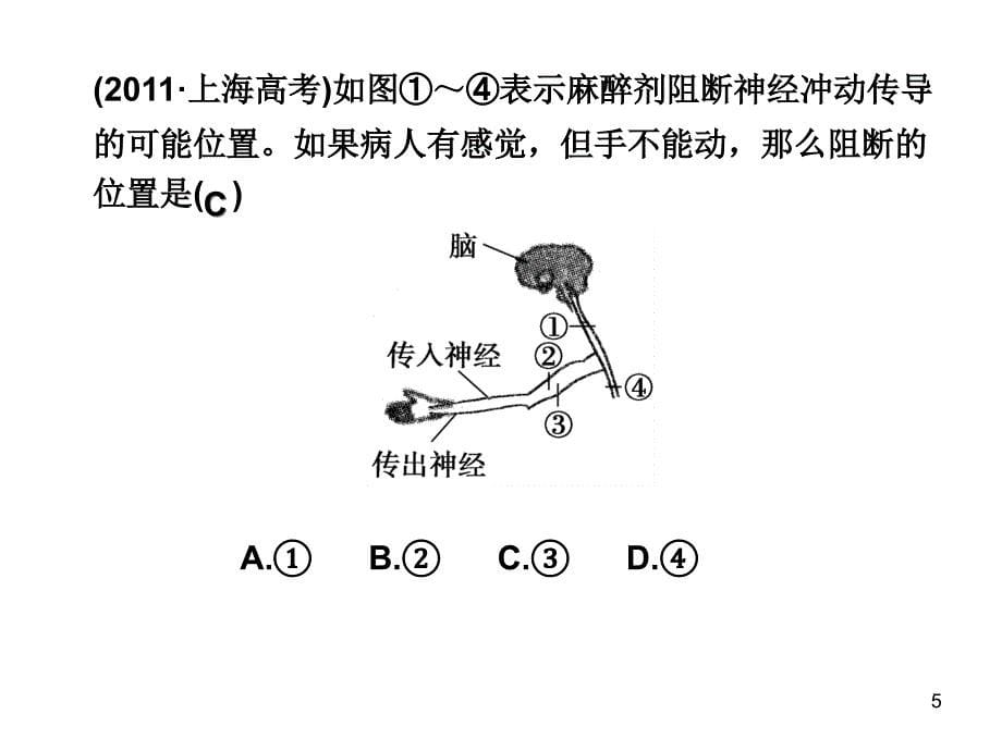 高考一轮神经调节ppt课件_第5页