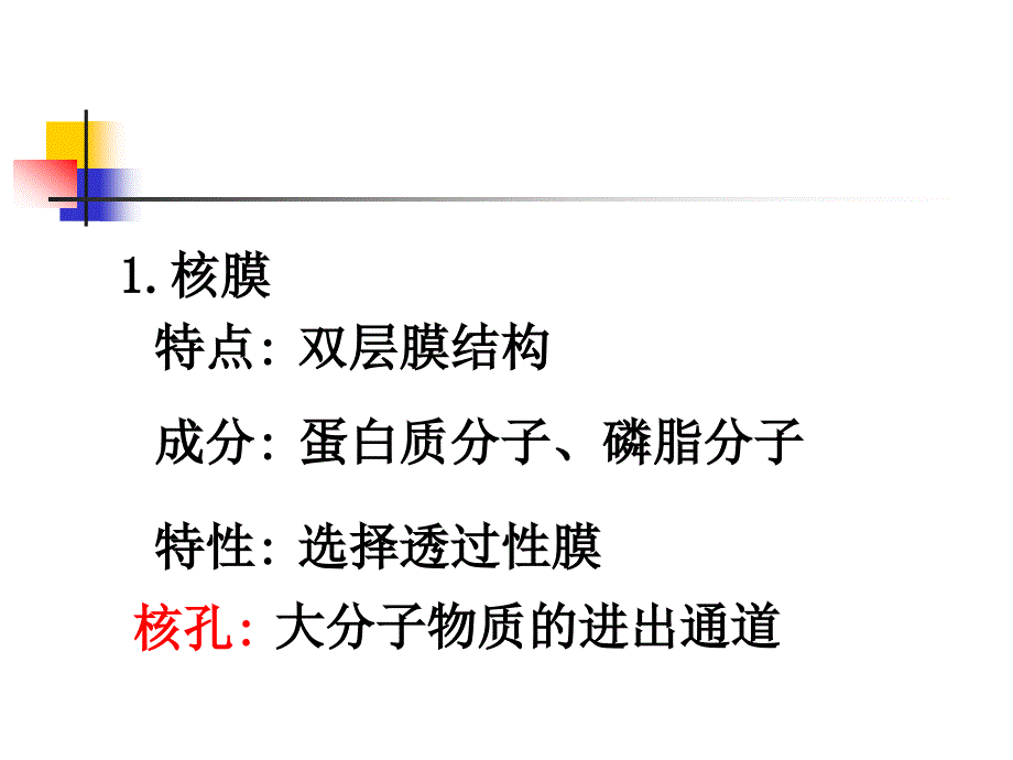 [资料]细胞核的构和功能1_第3页