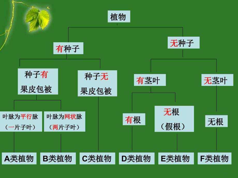 尝试对生物进行分类课件2_第4页