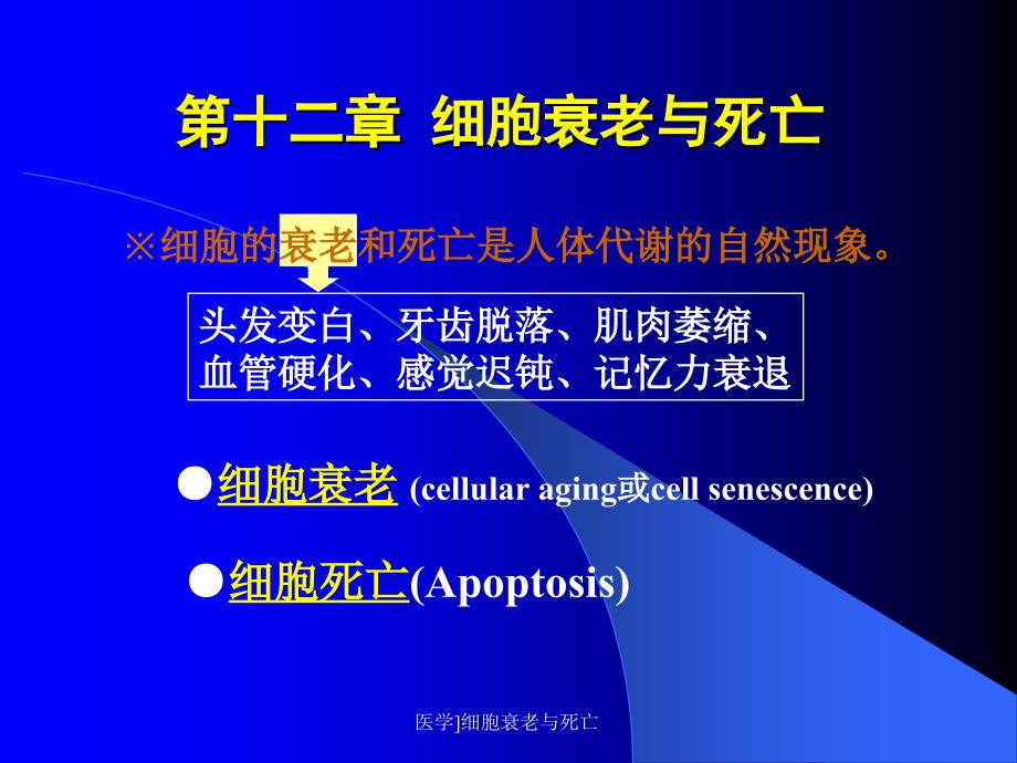 医学细胞衰老与死亡课件_第1页
