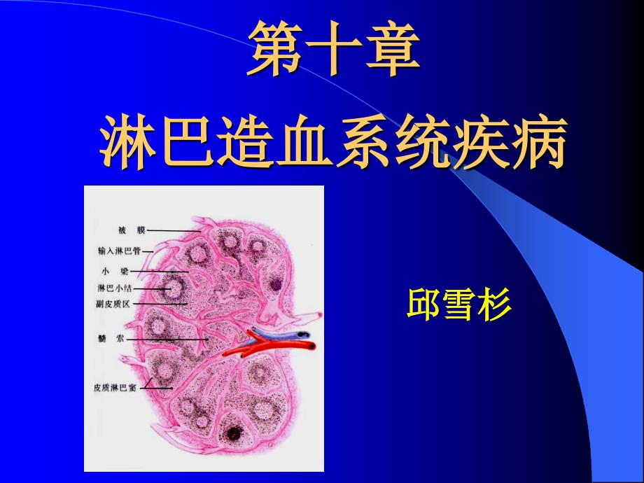 中山医科大学病理学课件第十章 淋巴造血系统疾病_第1页