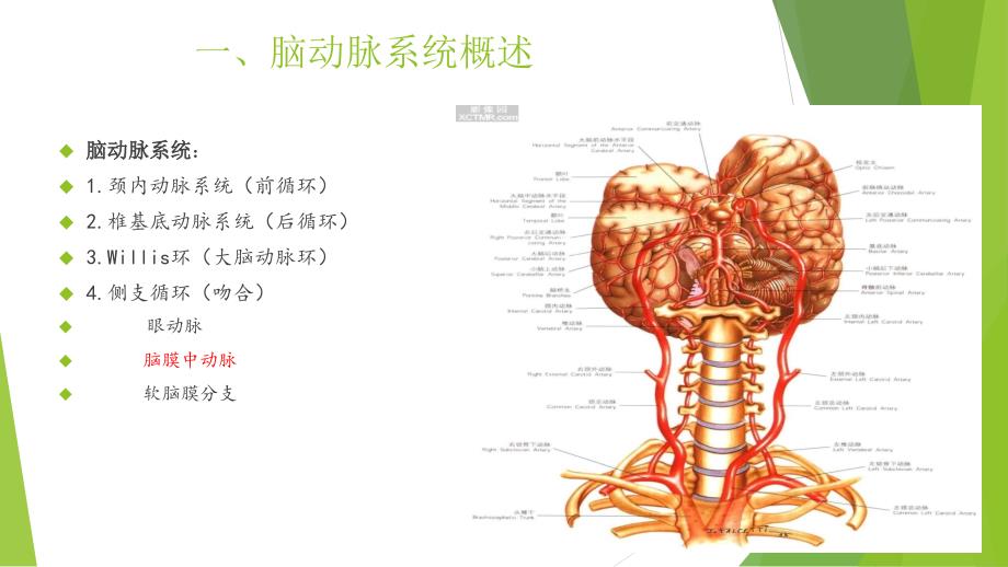 穿支动脉梗死_第3页