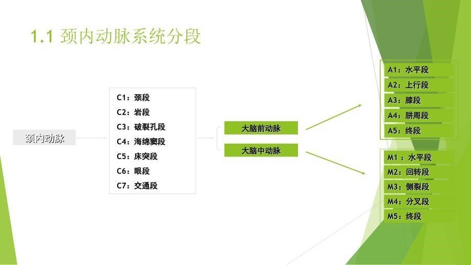 穿支动脉梗死_第5页