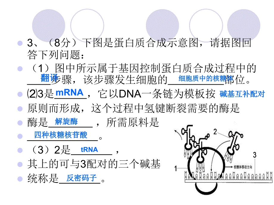 高中生物必修二练习及知识点复习_第3页